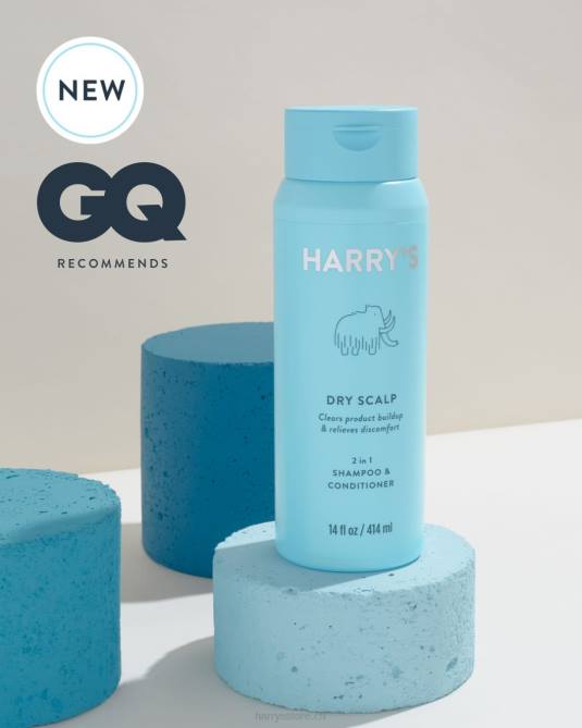 Trockene Kopfhaut 2 in 1 Shampoo und Spülung Harry's Z80J33